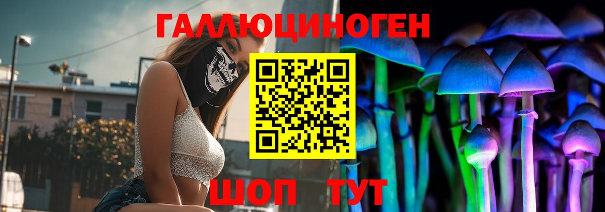 Галлюциногенные грибы Psilocybine cubensis  Вход с VPN  Кумертау 